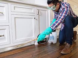 Best Pest Exclusion Services  in Grand Haven, MI