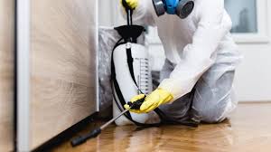 Professional Pest Control in Grand Haven, MI